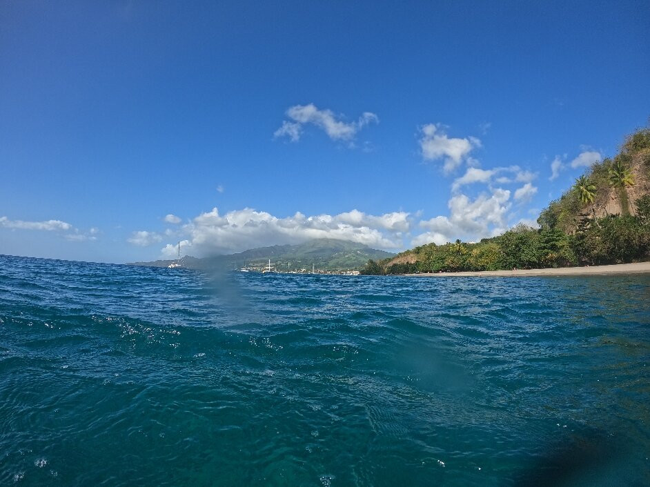 BLT Plongée Martinique-Case-Pilote必去景点