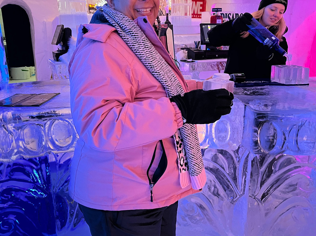 Hotel de Glace Ice Bar景点图片