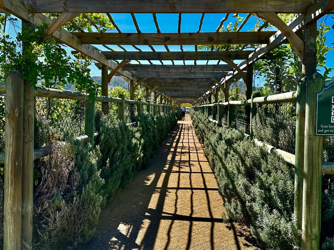 Constantia Uitsig Wine Estate-康士坦提亚必去景点