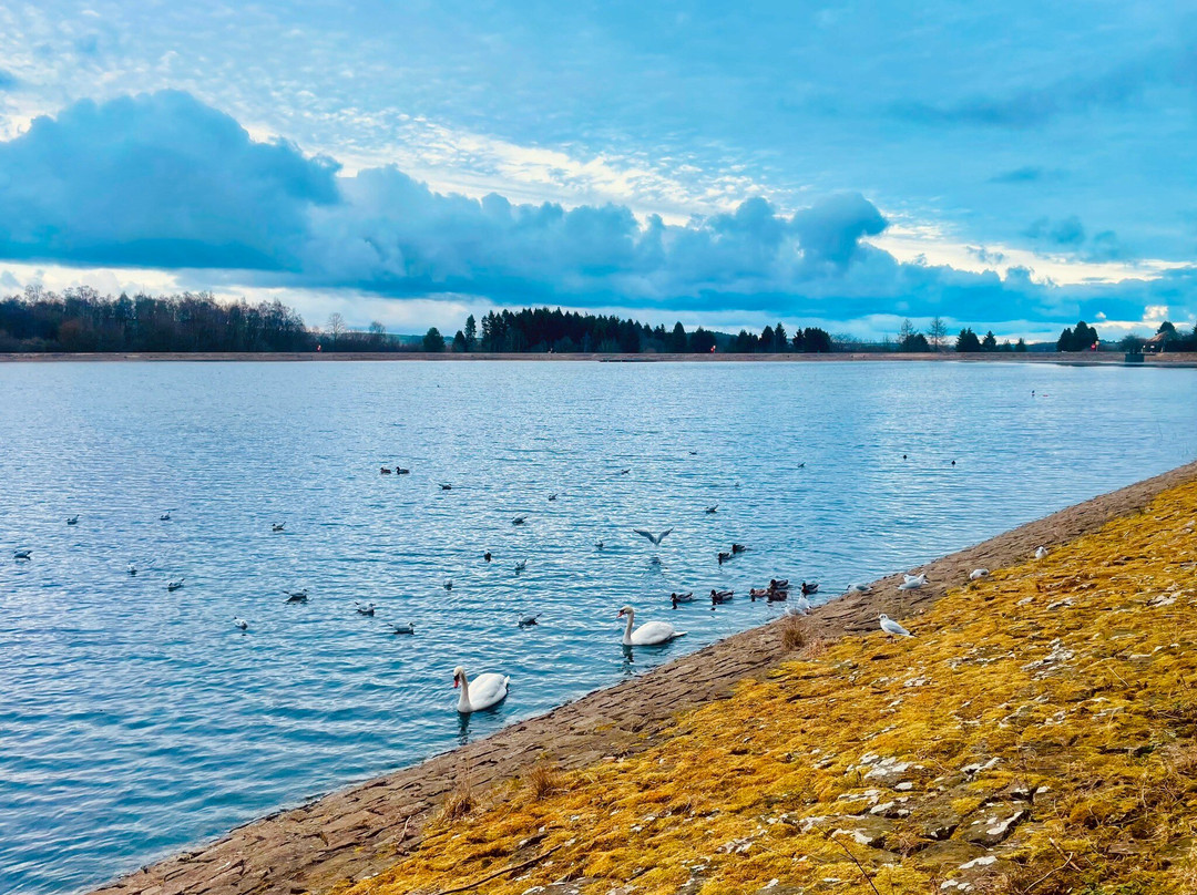 Clatto Country Park-敦提必去景点