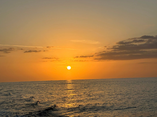 Simply Caught Charters-吕康必去景点