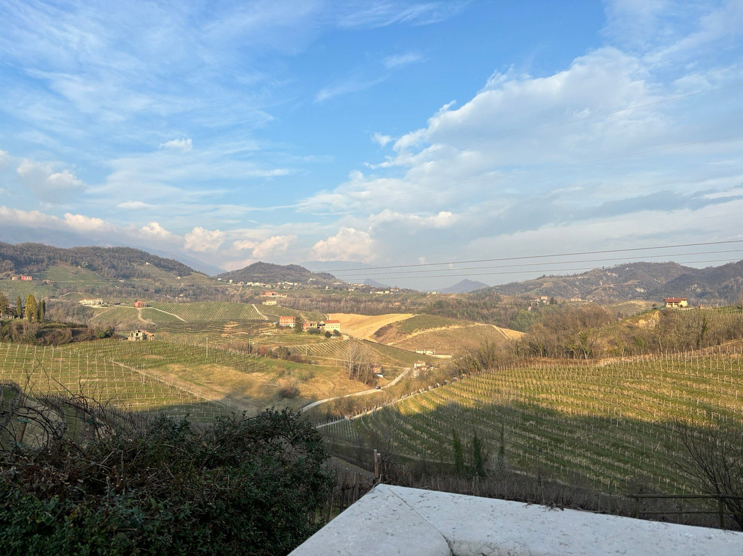 Societa Agricola Vigne Matte Srl景点图片
