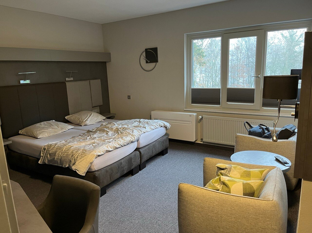 Hotel Paulshohe主图