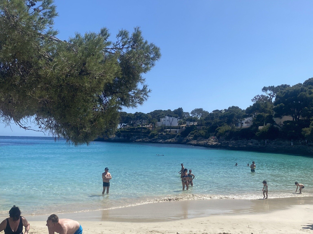 Plage Cala D'or景点图片