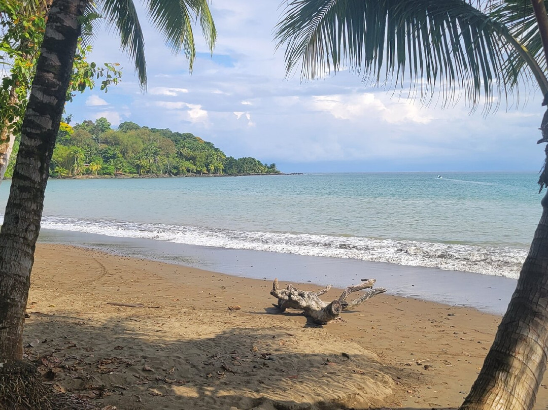 Hotel Jinetes de Osa主图