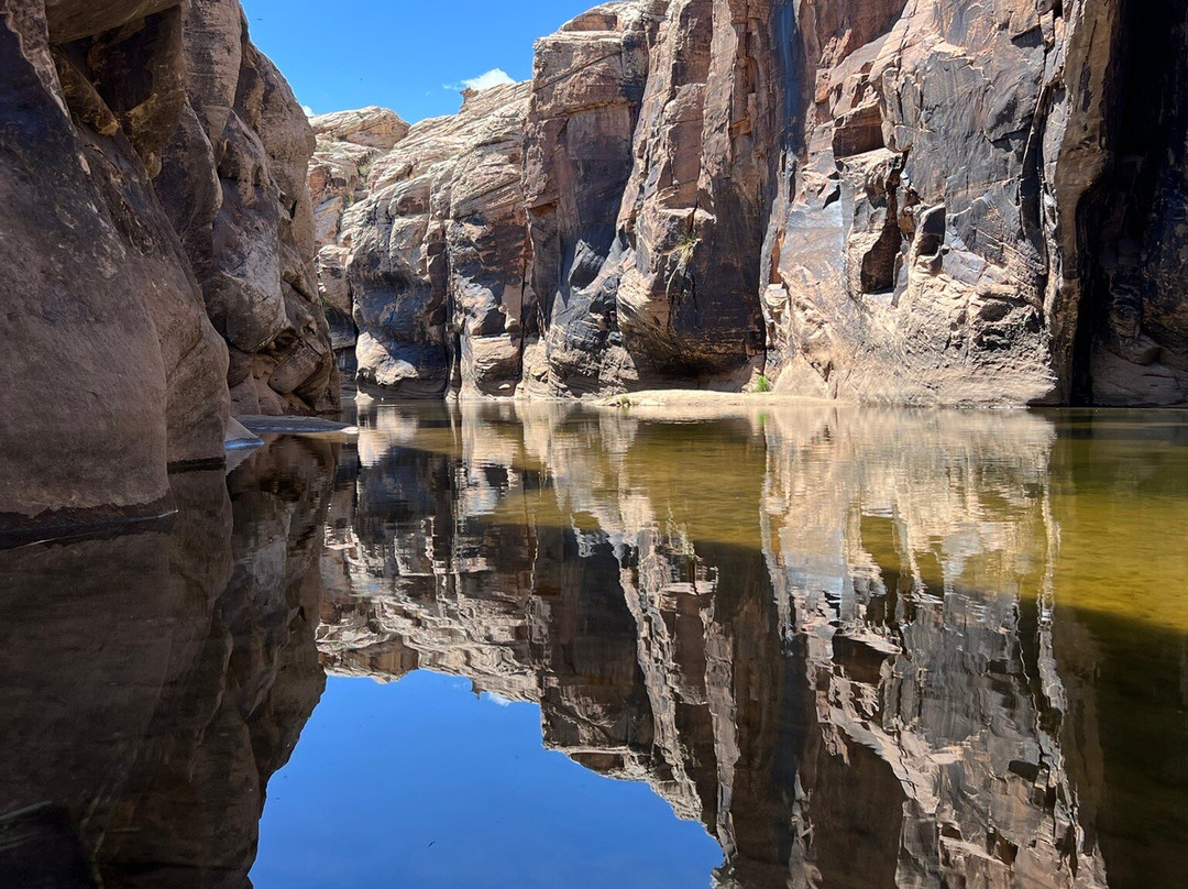 Rock Art Canyon Ranch-温斯洛必去景点