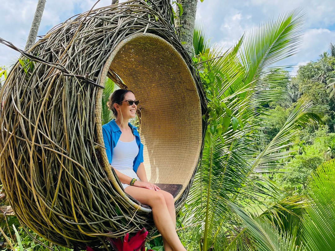 Bali Trekking Service-乌布必去景点