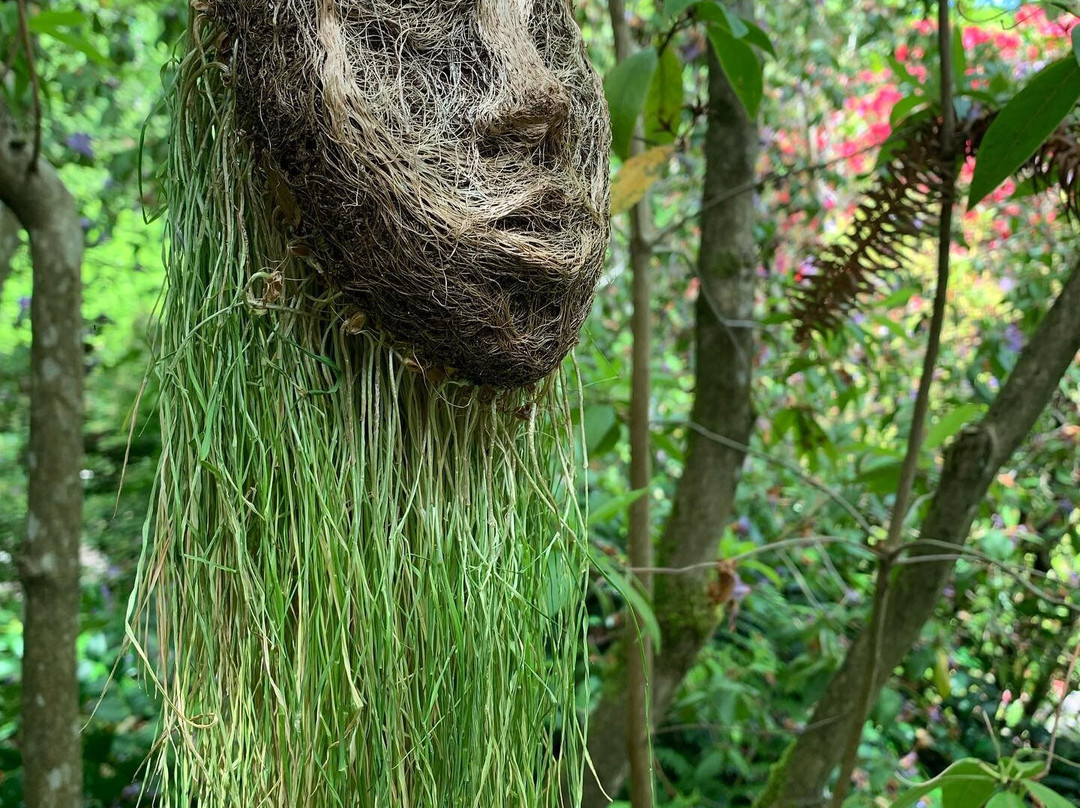 Darts Hill Garden Park-素里必去景点