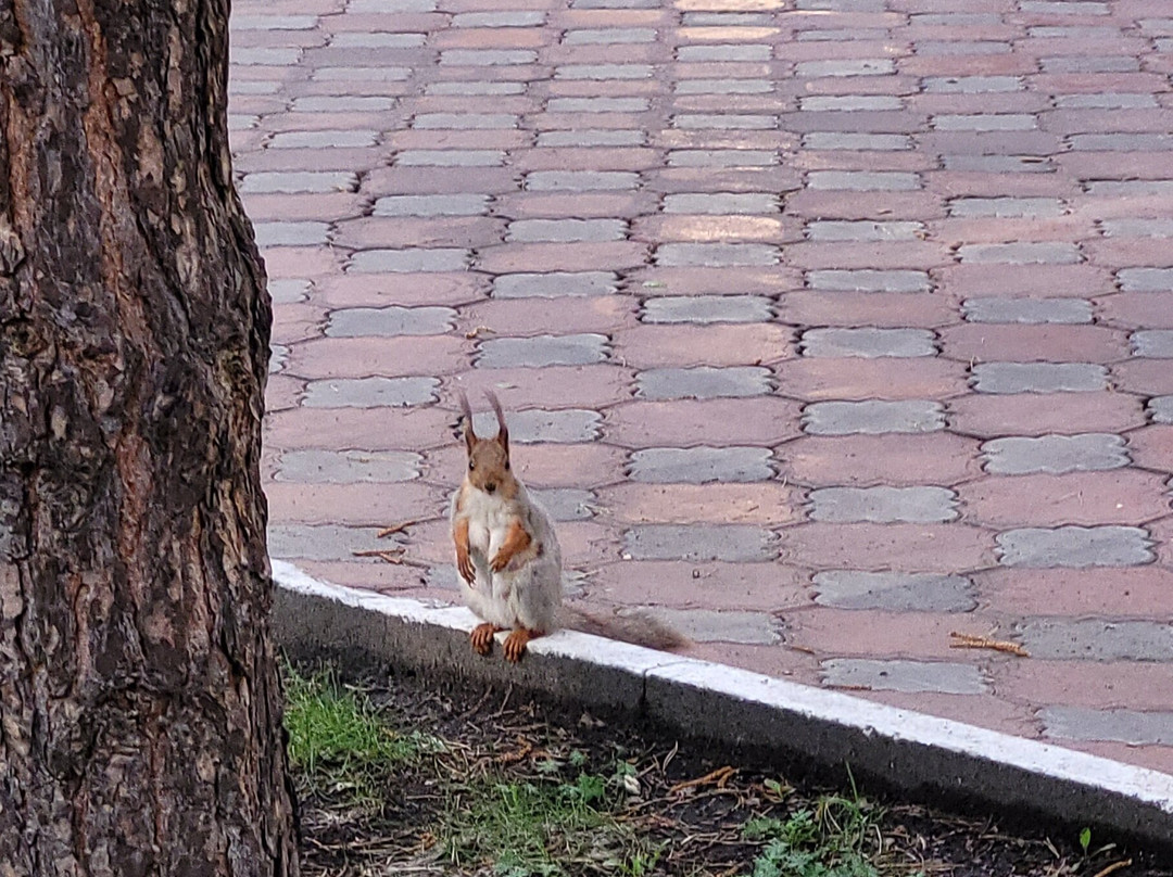 Borviha Hotel&SPA主图