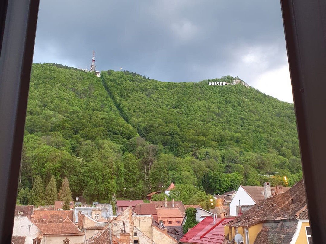 Casa Chitic - Str. Nicolae Balcescu 13主图