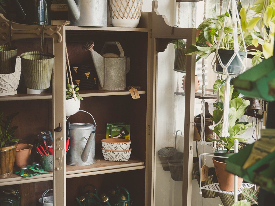 Salvage Hut-Soquel必去景点