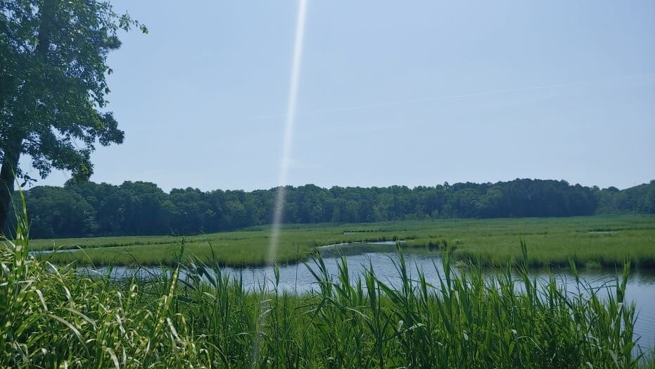 Lazy L At Willow Creek Bed & Breakfast主图