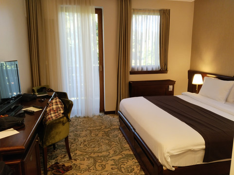 Hotel & Spa PALIĆ Resort主图