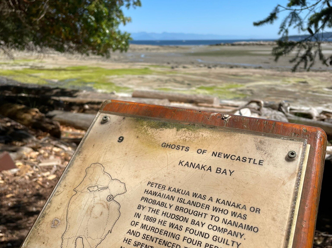 Newcastle Island景点图片