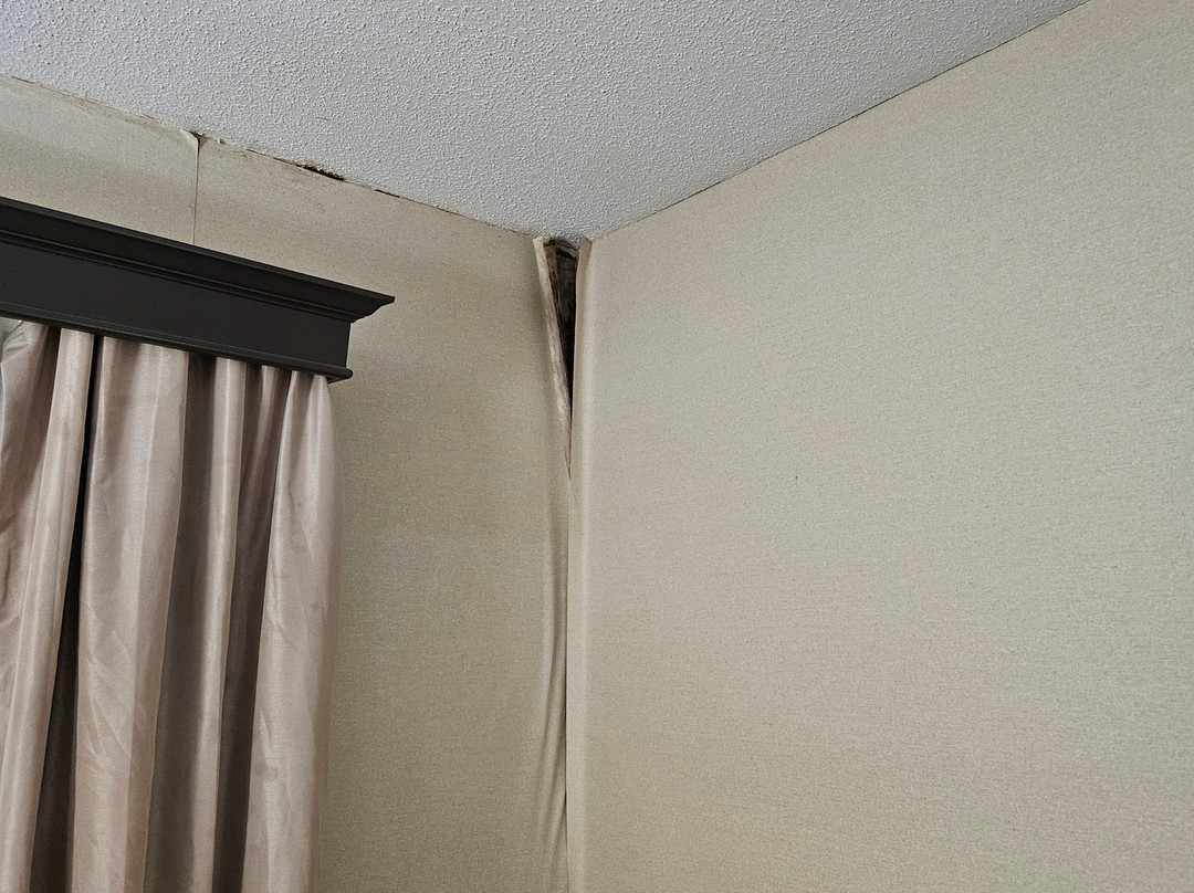 Quality Inn & Suites Searcy I-67主图