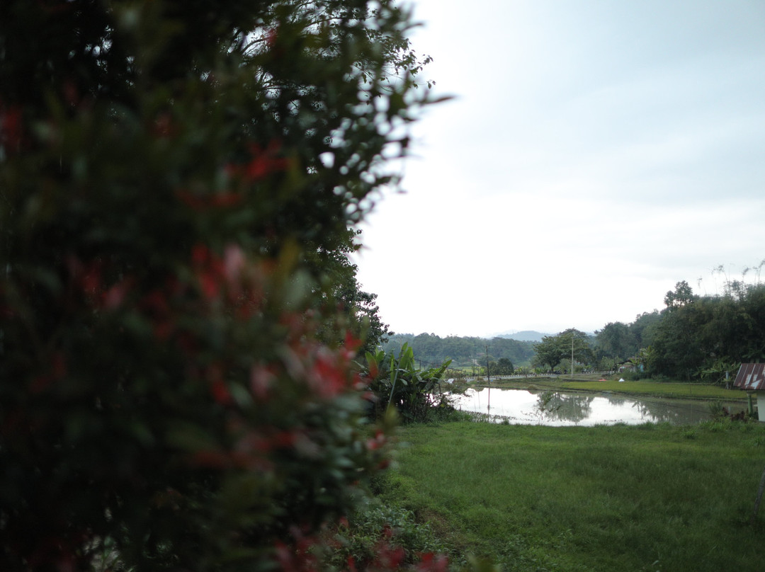 Mama Tia Homestay主图