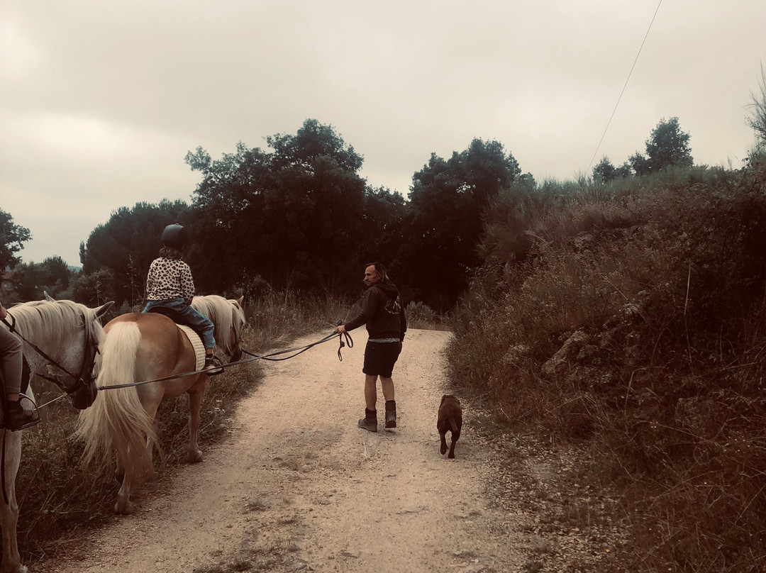 Portugal By Horse主图
