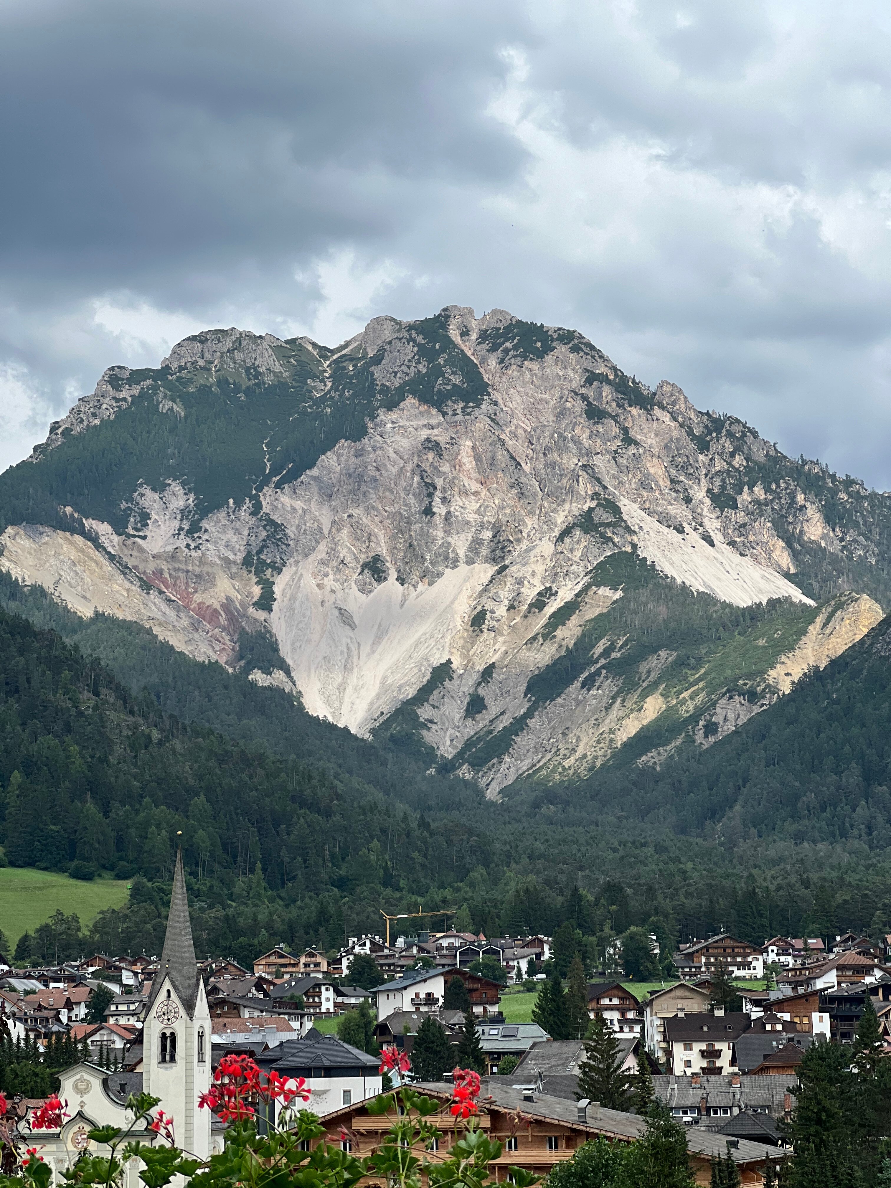 Hotel Les Alpes-酒店景观