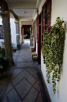 建水草芽国际青年旅舍主图