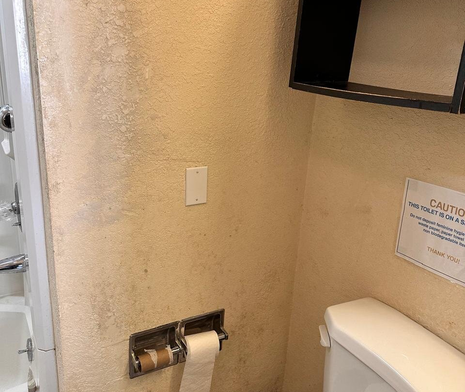 Red Roof PLUS+ & Suites Guilford主图