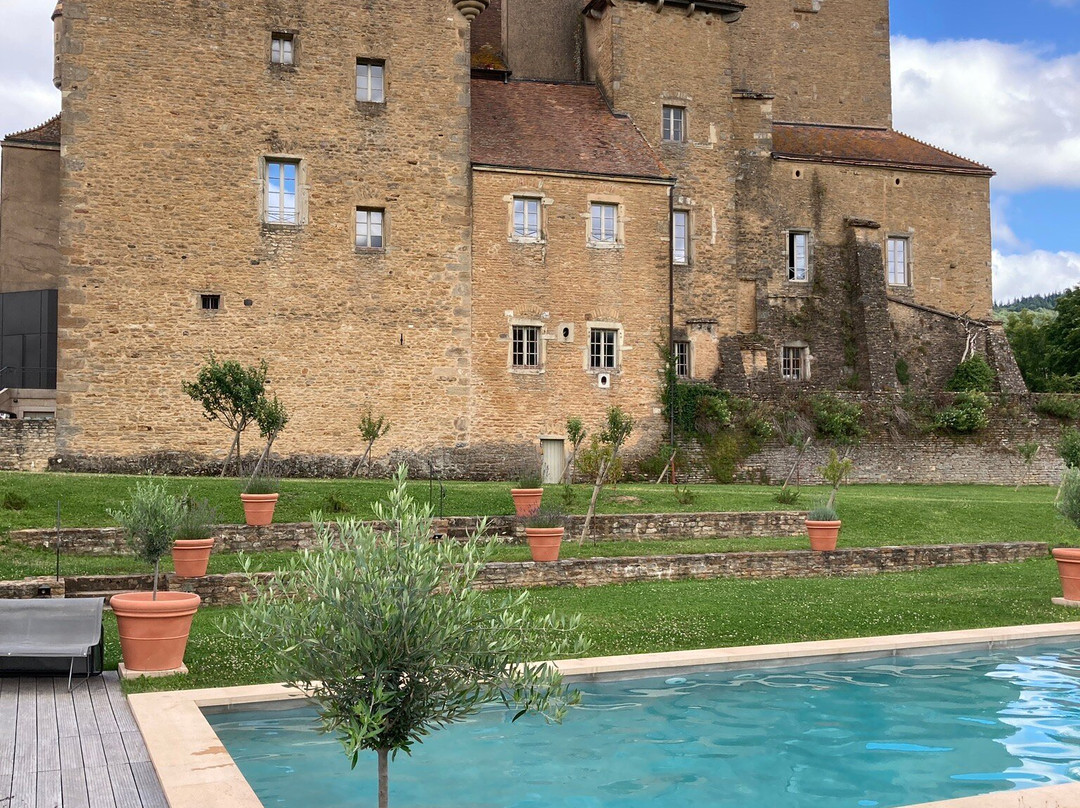 Château historique de Pierreclos景点图片