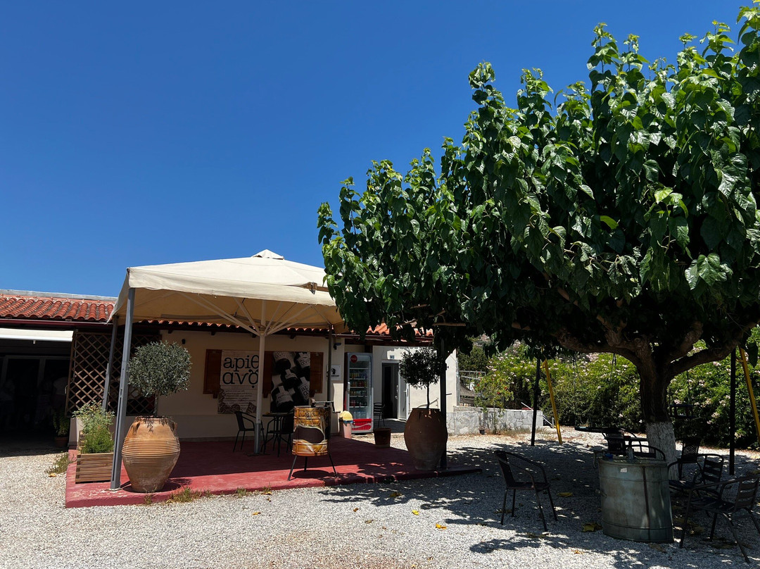 Apithano Honey Museum-Tasting & Tours景点图片