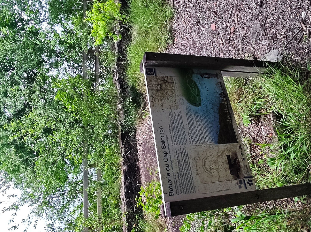 Rando Vers Batterie Du Cap Salomon