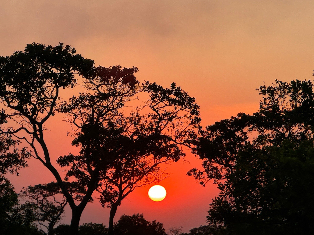 East African Safari And Touring Company-阿鲁沙必去景点