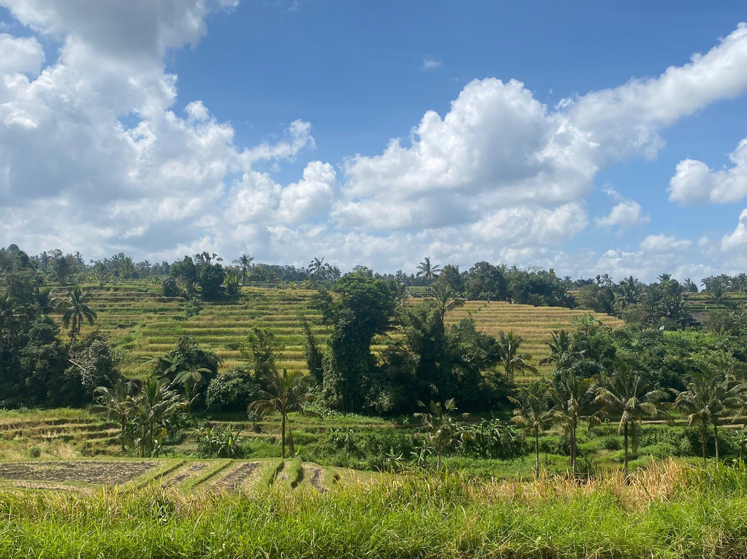 Archipelago Adventure