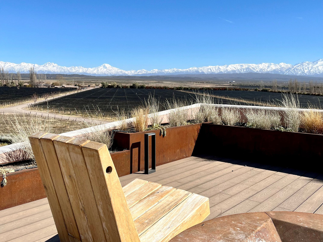 Bodega Alpamanta-路冉得库约必去景点