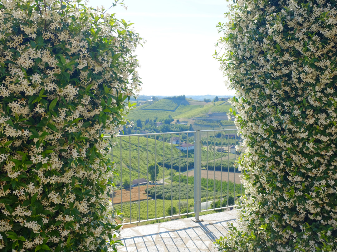 Piedmont Food and Wine-Vinchio必去景点