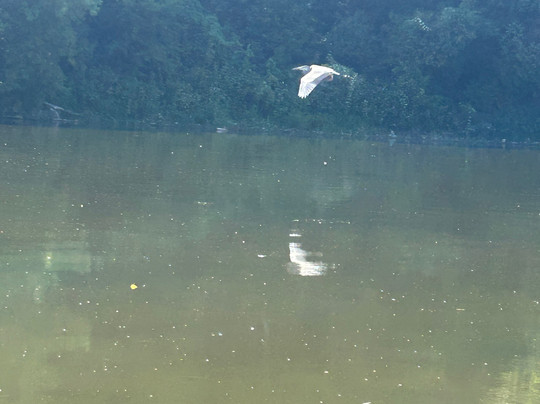 Canoeing The Grand-基奇纳必去景点