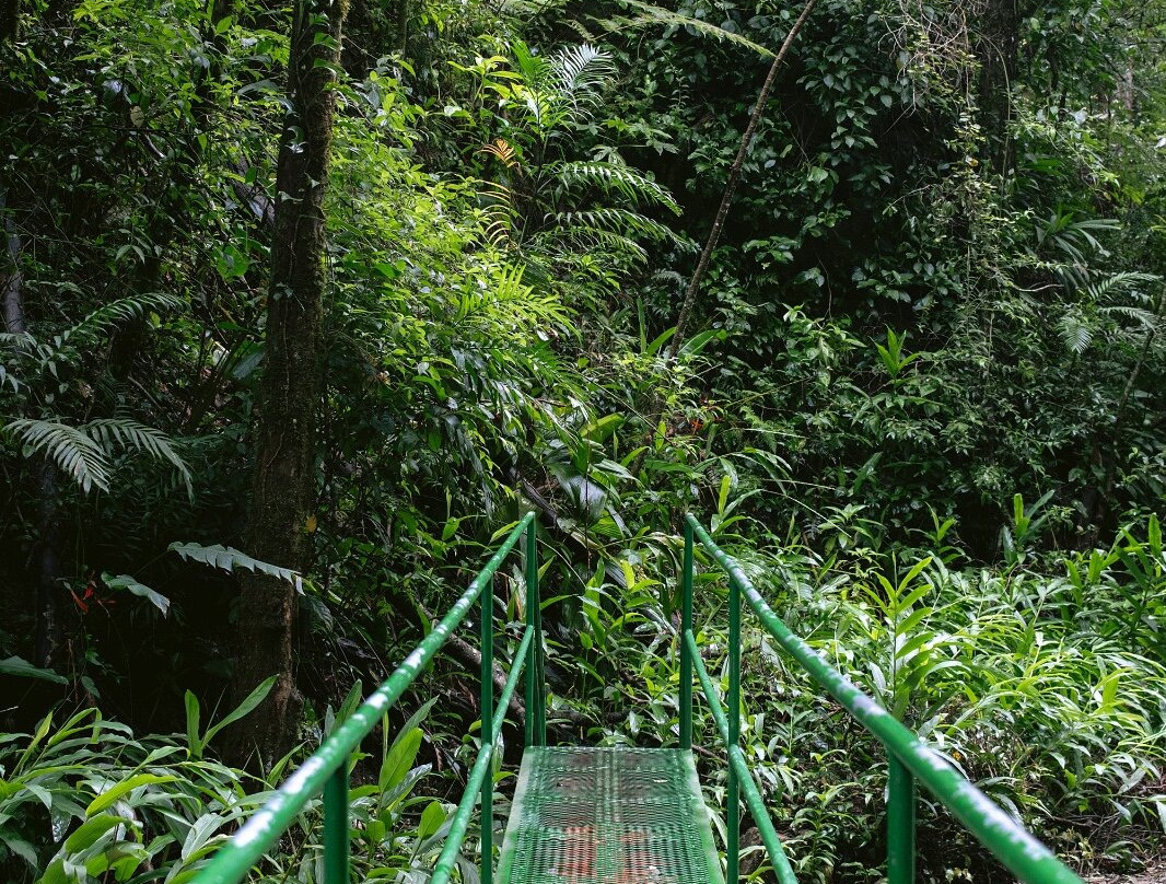 Catarata Los Murcielagos - Monteverde Waterfall-蒙特沃德必去景点