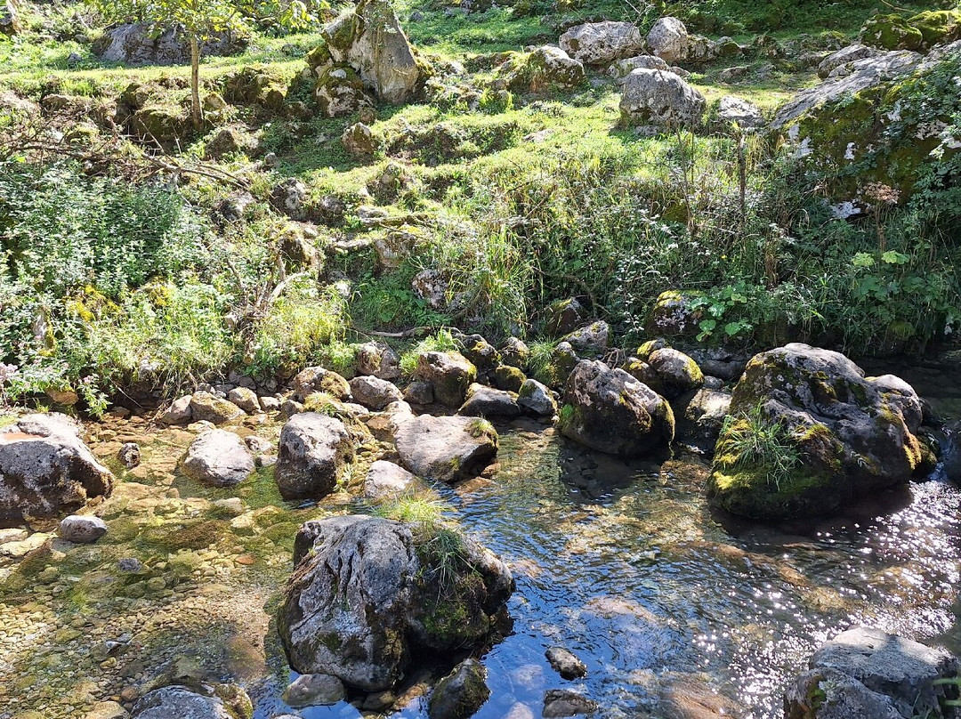 Canal del Texu景点图片