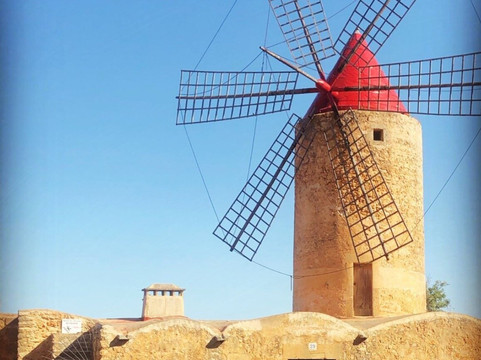 YOLO TOURS Mallorca-马洛卡帕尔马必去景点