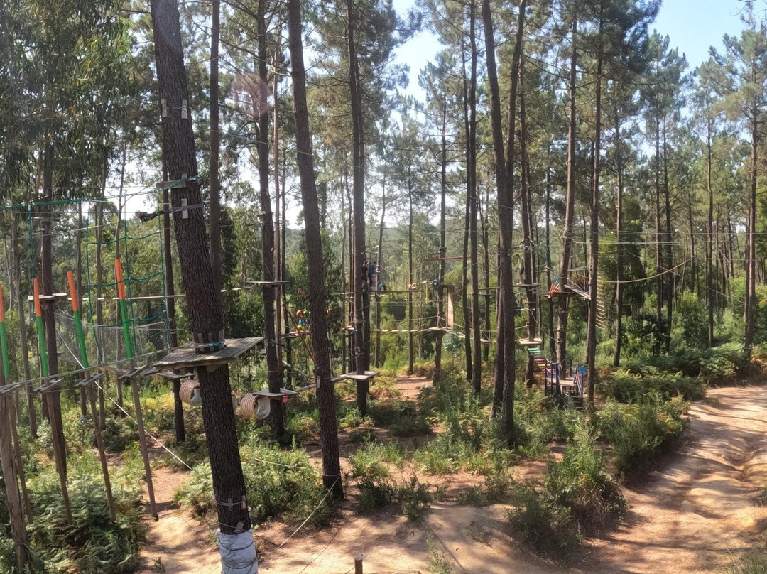 Parque Aventura Pousos Leiria景点图片