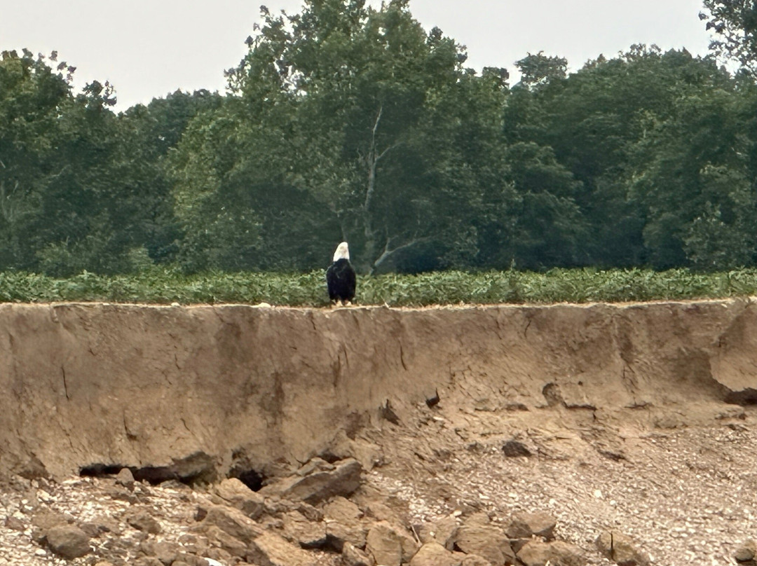 Green Acres Kayak Rental-Harrison必去景点