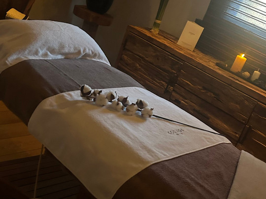 Residence le Telemark主图