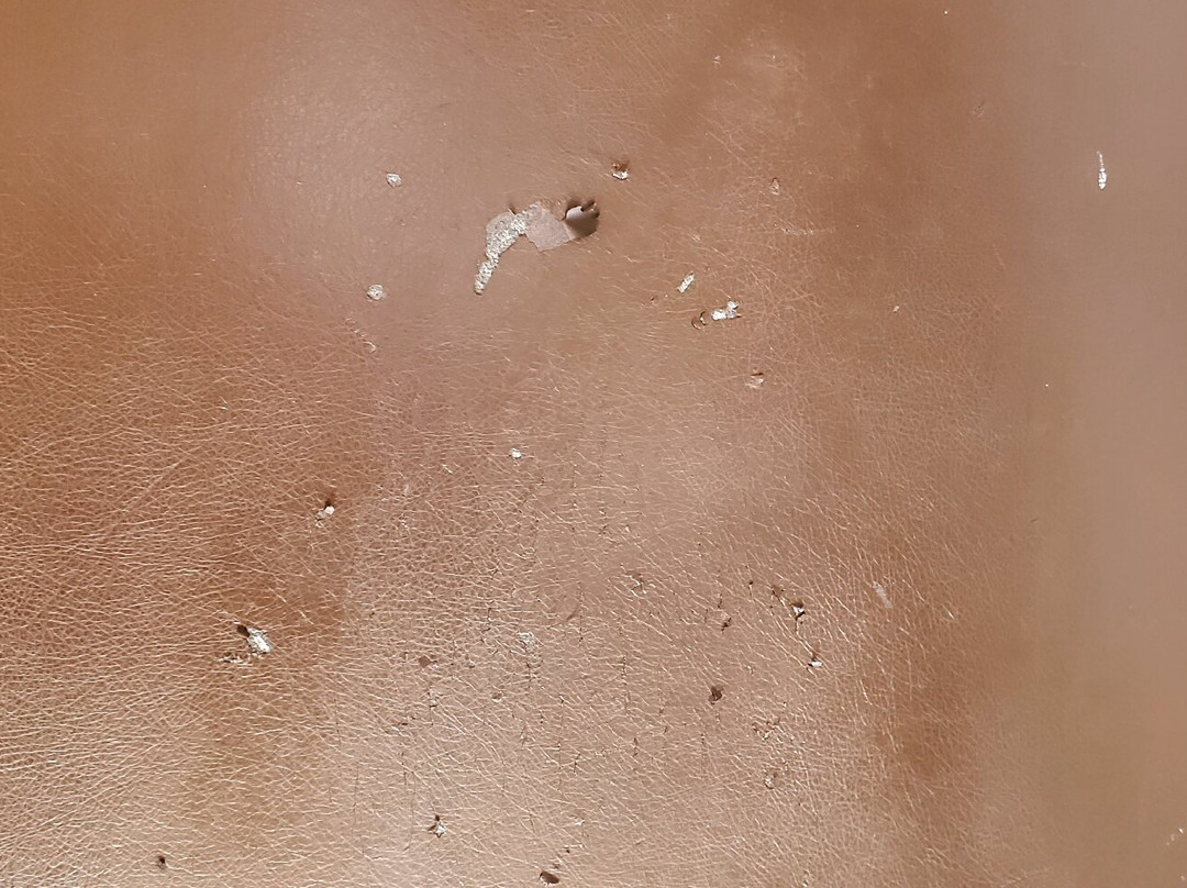 The Lodge at Eagle Crest主图