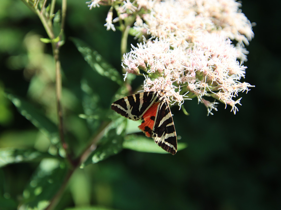 Cascade de la Beaume-Solignac-sur-Loire必去景点