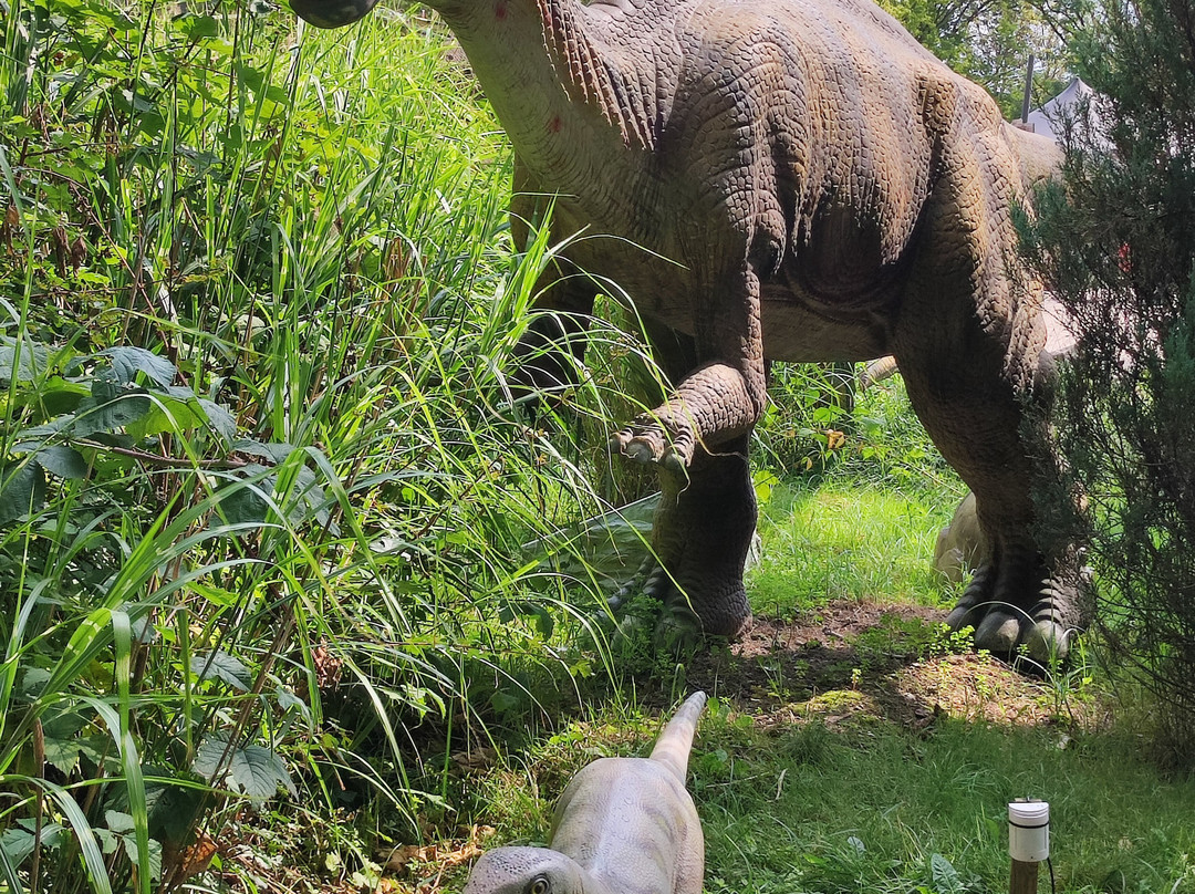 Dinoland Zwolle-兹沃勒必去景点