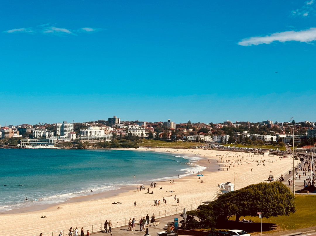 Shire Shuttle Bus-克罗纳拉必去景点