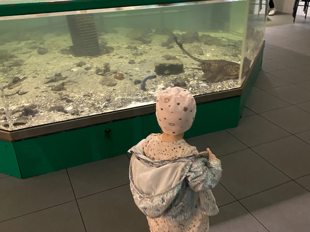 The Faroe Islands Aquarium-托沙文必去景点