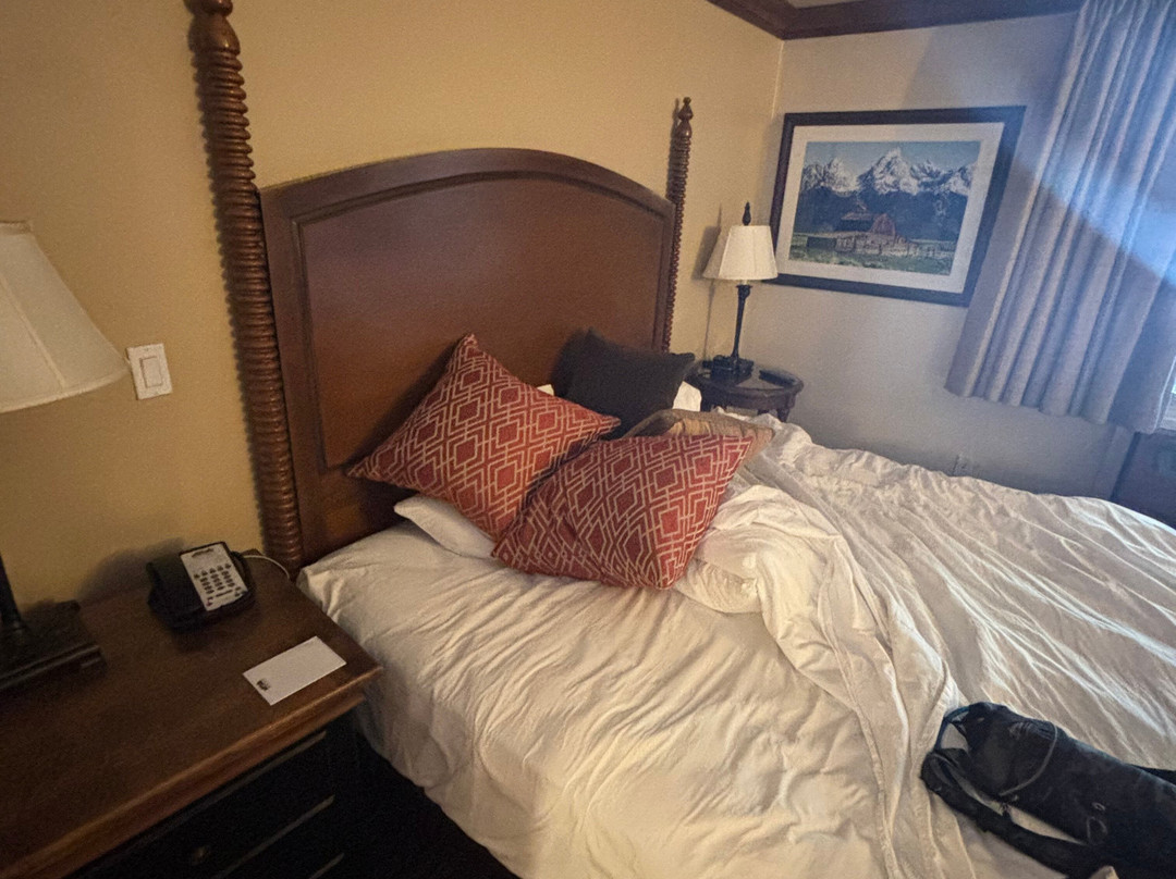 蛇河别墅温泉罗克度假酒店主图