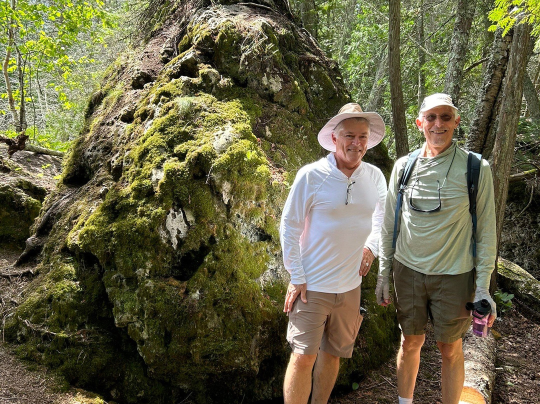 Bush Bay Trail Narnia Trail景点图片
