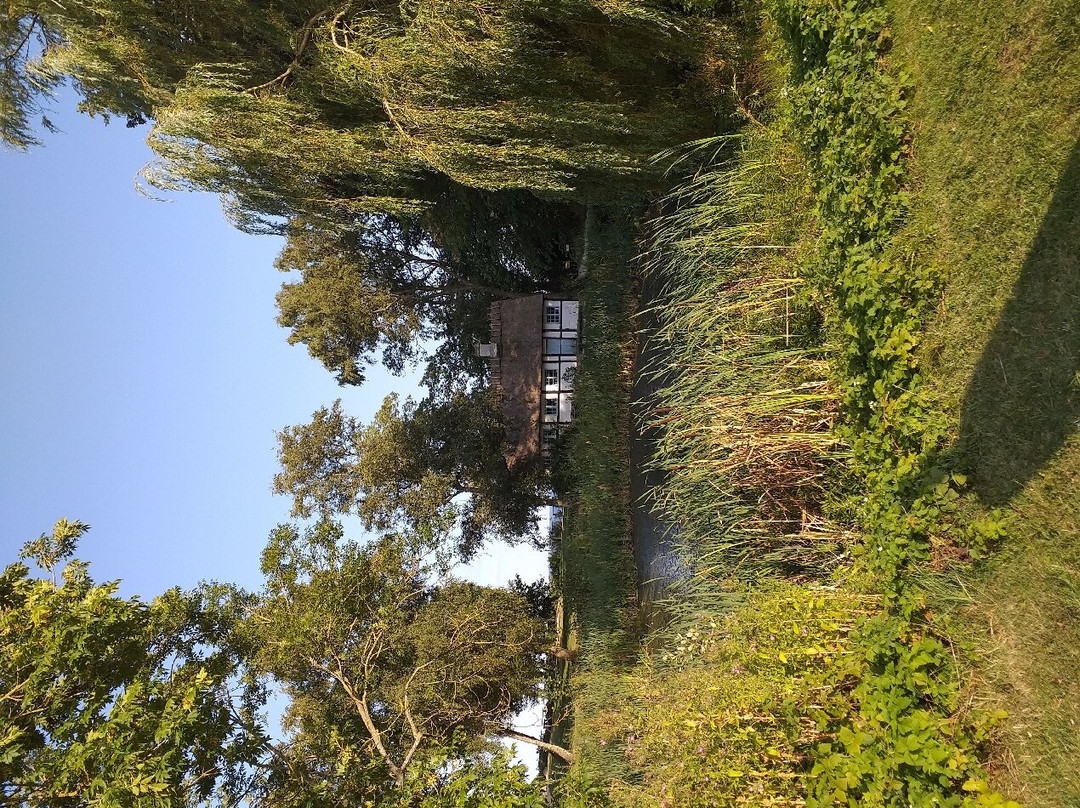 Stevns Klint景点图片