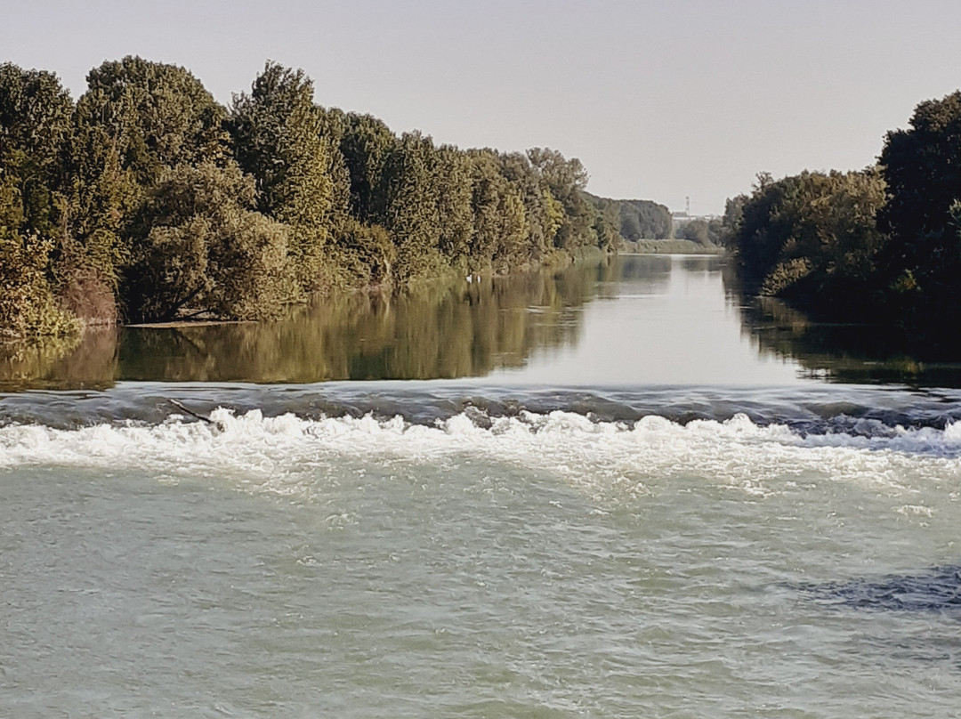 Pista Ciclabile del Fiume Mincio景点图片