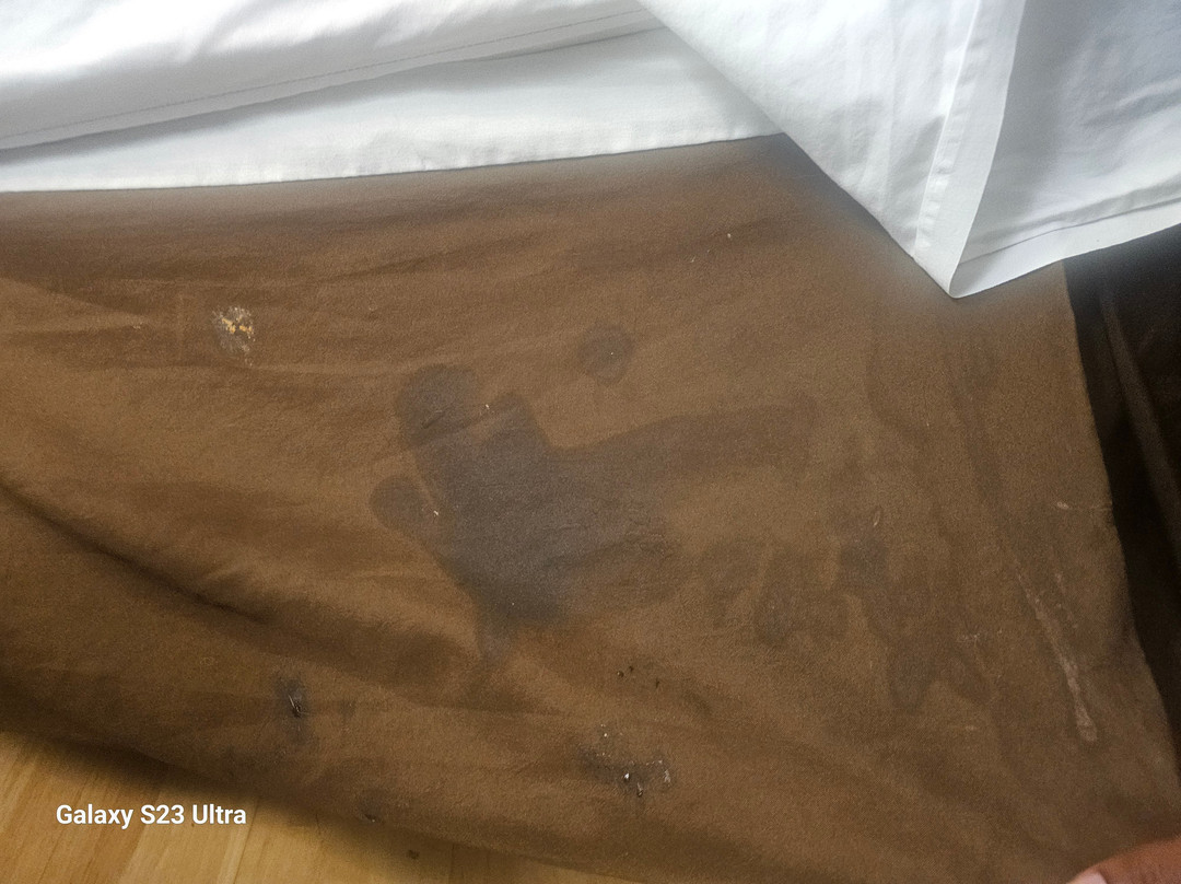 基诺沙/莱森特普瑞尔瑞速8酒店主图