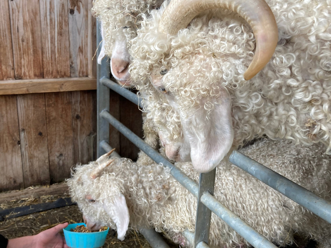 Hazel Brow Farm Visitor Centre-Low Row必去景点
