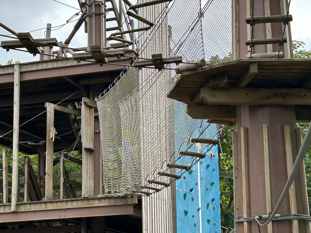 Go Ape Alexandra Palace-伦敦必去景点